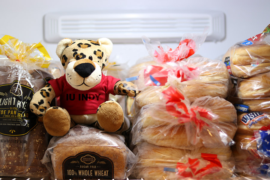 An IU Indy stuffed jaguar sits on top of some loaves of bread.